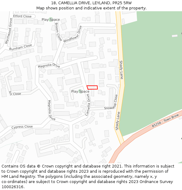 18, CAMELLIA DRIVE, LEYLAND, PR25 5RW: Location map and indicative extent of plot