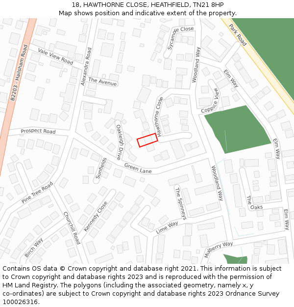18, HAWTHORNE CLOSE, HEATHFIELD, TN21 8HP: Location map and indicative extent of plot