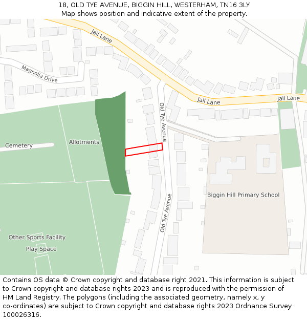 18, OLD TYE AVENUE, BIGGIN HILL, WESTERHAM, TN16 3LY: Location map and indicative extent of plot