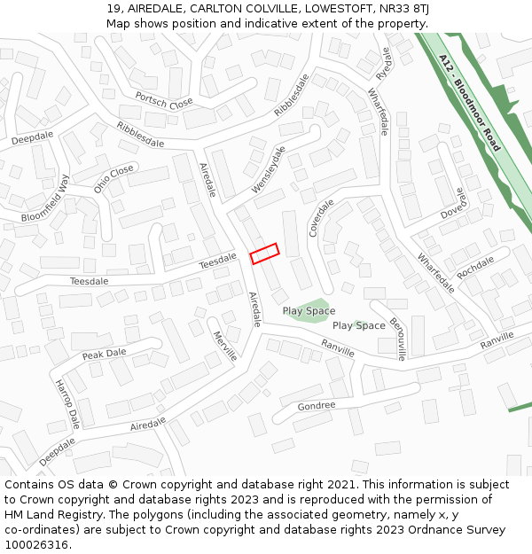 19, AIREDALE, CARLTON COLVILLE, LOWESTOFT, NR33 8TJ: Location map and indicative extent of plot