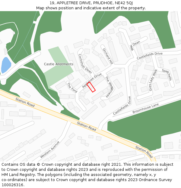 19, APPLETREE DRIVE, PRUDHOE, NE42 5QJ: Location map and indicative extent of plot