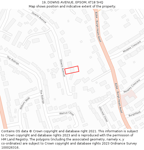 19, DOWNS AVENUE, EPSOM, KT18 5HQ: Location map and indicative extent of plot