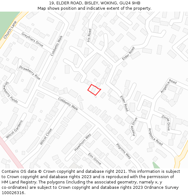 19, ELDER ROAD, BISLEY, WOKING, GU24 9HB: Location map and indicative extent of plot