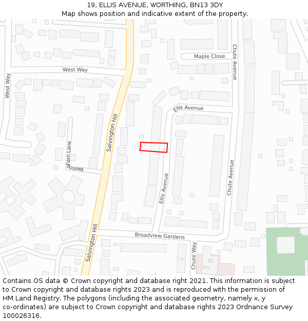 19, ELLIS AVENUE, WORTHING, BN13 3DY: Location map and indicative extent of plot