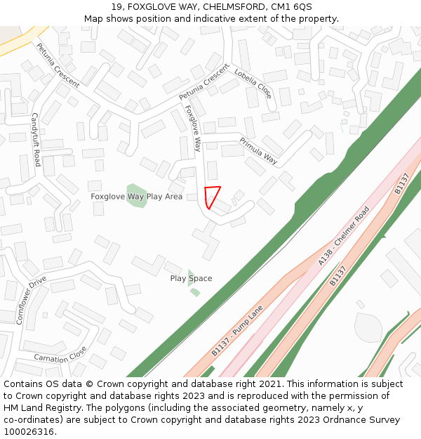 19, FOXGLOVE WAY, CHELMSFORD, CM1 6QS: Location map and indicative extent of plot