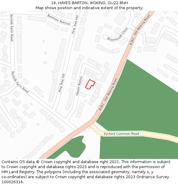 19, HAYES BARTON, WOKING, GU22 8NH: Location map and indicative extent of plot