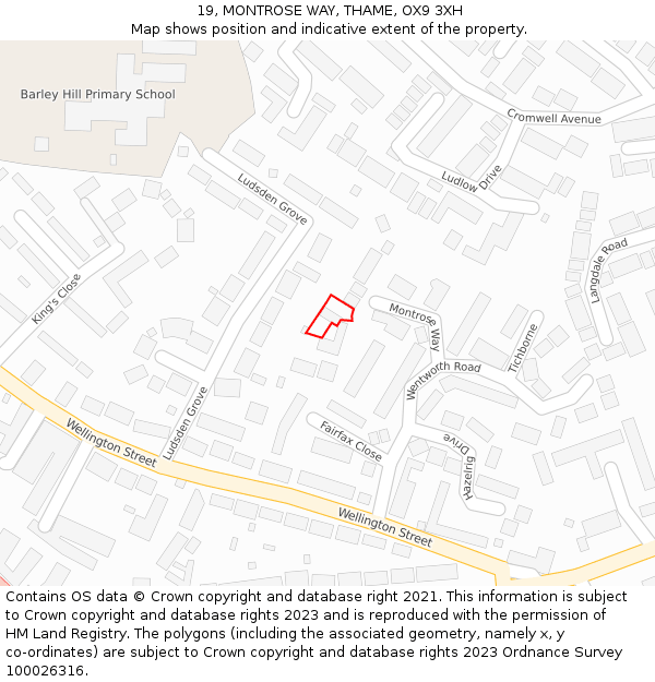 19, MONTROSE WAY, THAME, OX9 3XH: Location map and indicative extent of plot