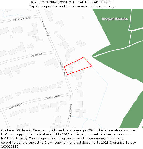 19, PRINCES DRIVE, OXSHOTT, LEATHERHEAD, KT22 0UL: Location map and indicative extent of plot