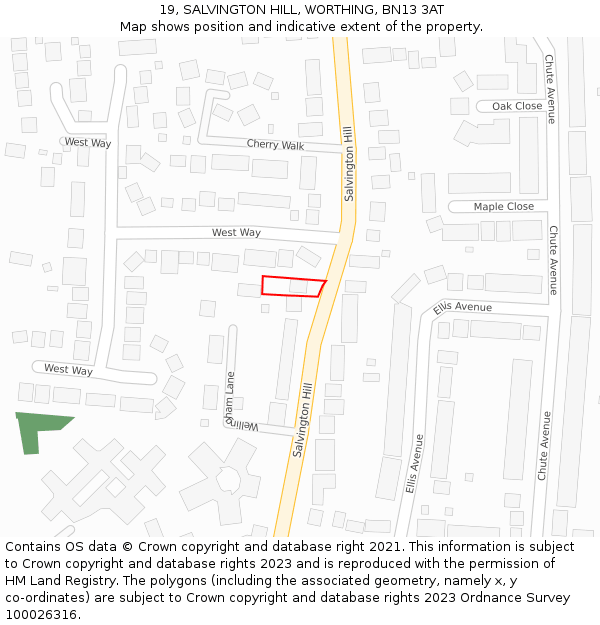 19, SALVINGTON HILL, WORTHING, BN13 3AT: Location map and indicative extent of plot