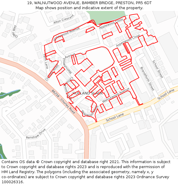 19, WALNUTWOOD AVENUE, BAMBER BRIDGE, PRESTON, PR5 6DT: Location map and indicative extent of plot
