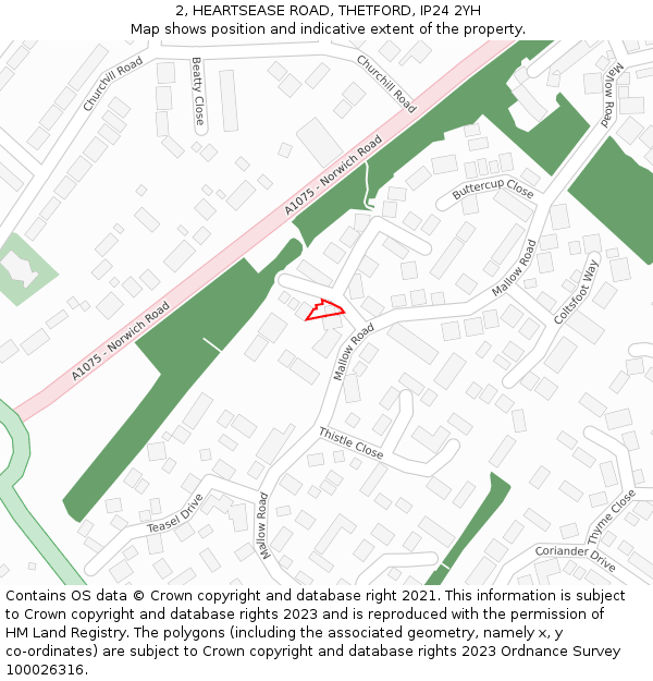2, HEARTSEASE ROAD, THETFORD, IP24 2YH: Location map and indicative extent of plot