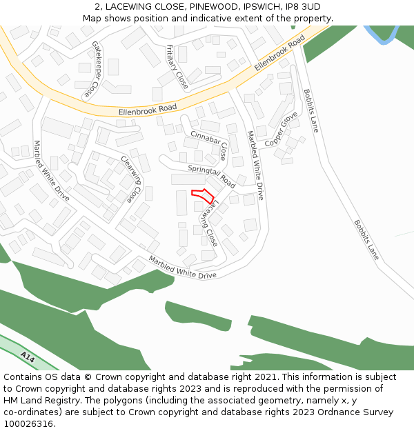 2, LACEWING CLOSE, PINEWOOD, IPSWICH, IP8 3UD: Location map and indicative extent of plot