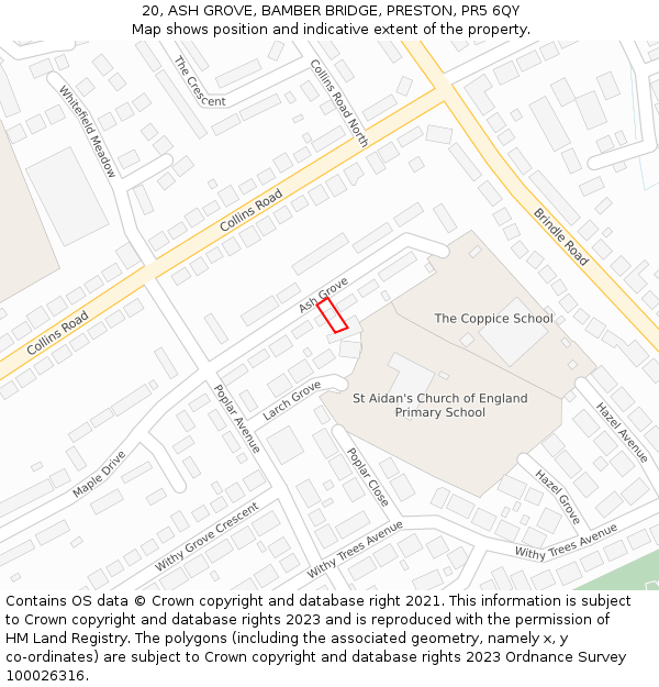 20, ASH GROVE, BAMBER BRIDGE, PRESTON, PR5 6QY: Location map and indicative extent of plot
