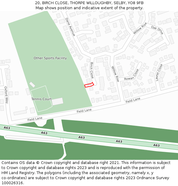 20, BIRCH CLOSE, THORPE WILLOUGHBY, SELBY, YO8 9FB: Location map and indicative extent of plot