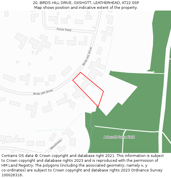 20, BIRDS HILL DRIVE, OXSHOTT, LEATHERHEAD, KT22 0SP: Location map and indicative extent of plot