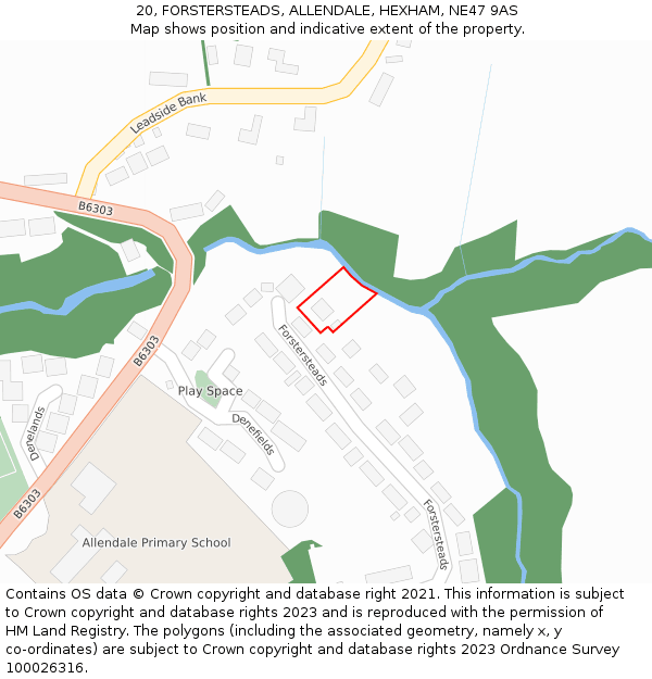 20, FORSTERSTEADS, ALLENDALE, HEXHAM, NE47 9AS: Location map and indicative extent of plot