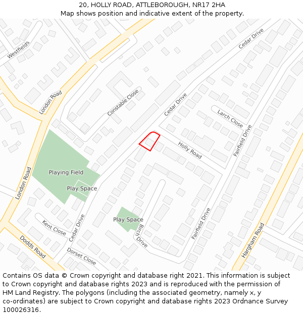 20, HOLLY ROAD, ATTLEBOROUGH, NR17 2HA: Location map and indicative extent of plot