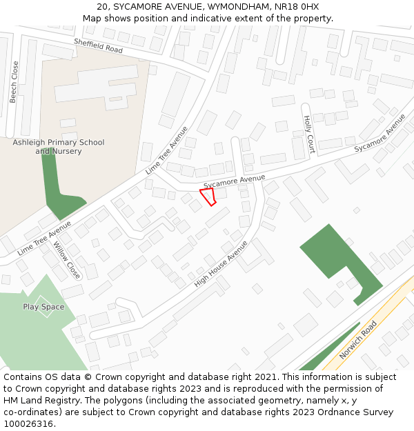 20, SYCAMORE AVENUE, WYMONDHAM, NR18 0HX: Location map and indicative extent of plot
