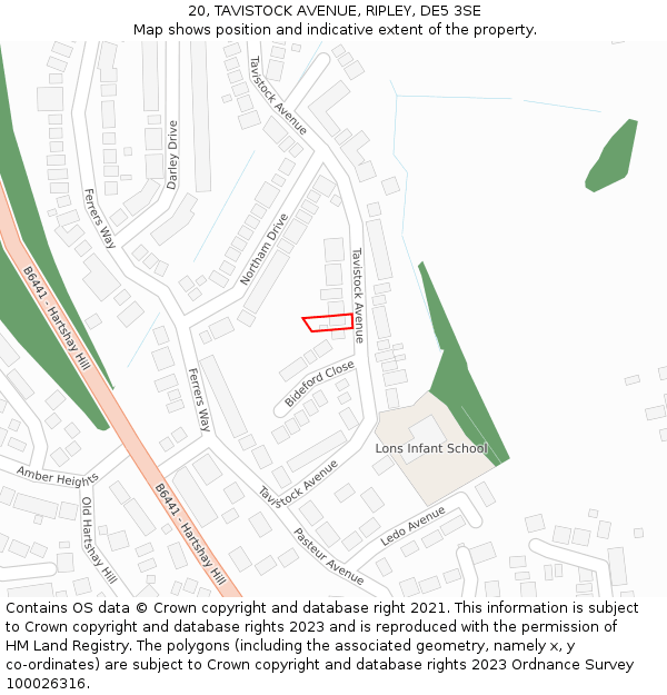 20, TAVISTOCK AVENUE, RIPLEY, DE5 3SE: Location map and indicative extent of plot