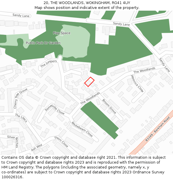 20, THE WOODLANDS, WOKINGHAM, RG41 4UY: Location map and indicative extent of plot