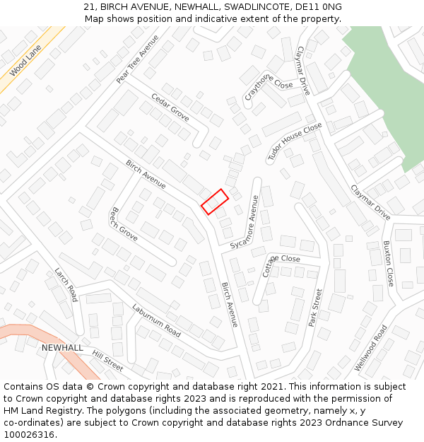 21, BIRCH AVENUE, NEWHALL, SWADLINCOTE, DE11 0NG: Location map and indicative extent of plot