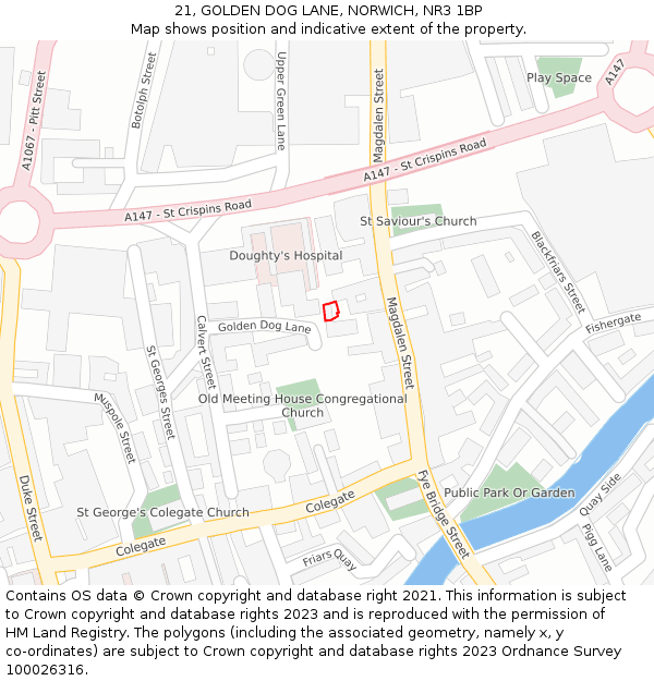 21, GOLDEN DOG LANE, NORWICH, NR3 1BP: Location map and indicative extent of plot