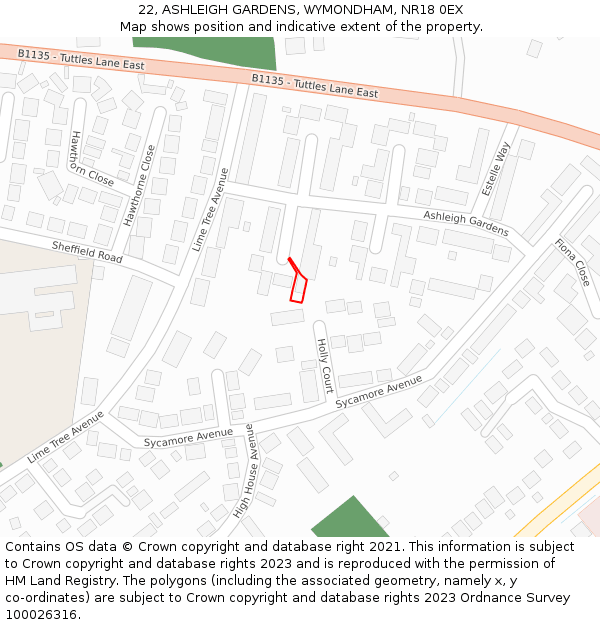 22, ASHLEIGH GARDENS, WYMONDHAM, NR18 0EX: Location map and indicative extent of plot