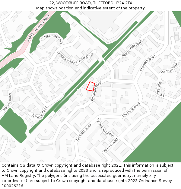 22, WOODRUFF ROAD, THETFORD, IP24 2TX: Location map and indicative extent of plot