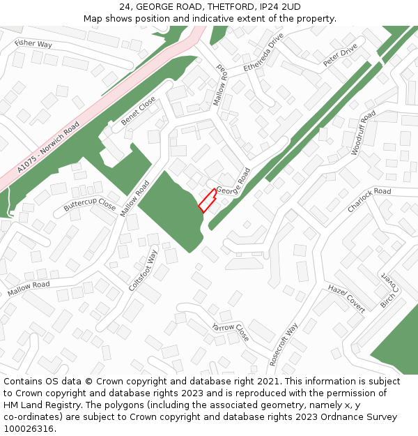 24, GEORGE ROAD, THETFORD, IP24 2UD: Location map and indicative extent of plot
