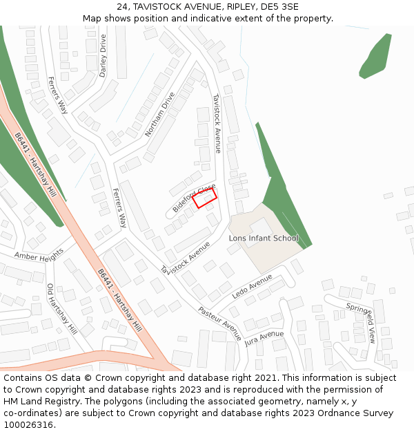 24, TAVISTOCK AVENUE, RIPLEY, DE5 3SE: Location map and indicative extent of plot