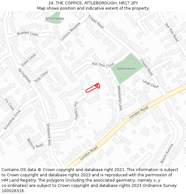 24, THE COPPICE, ATTLEBOROUGH, NR17 2PY: Location map and indicative extent of plot