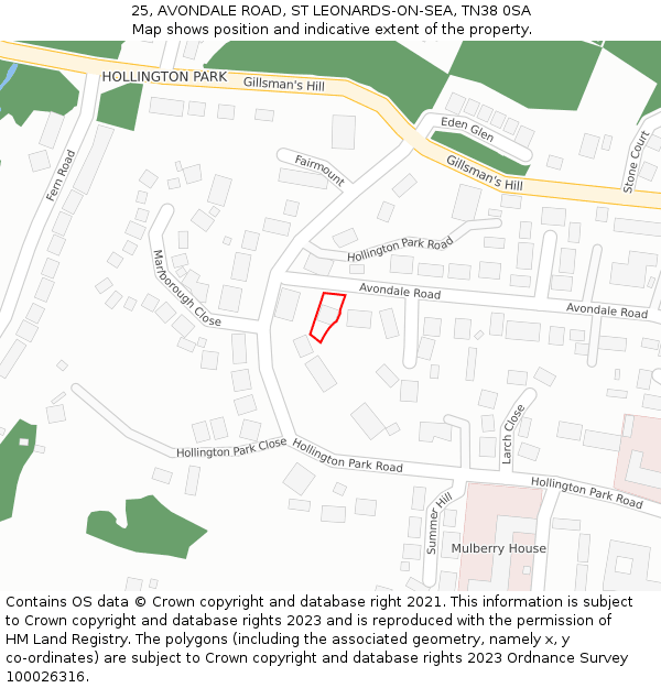 25, AVONDALE ROAD, ST LEONARDS-ON-SEA, TN38 0SA: Location map and indicative extent of plot