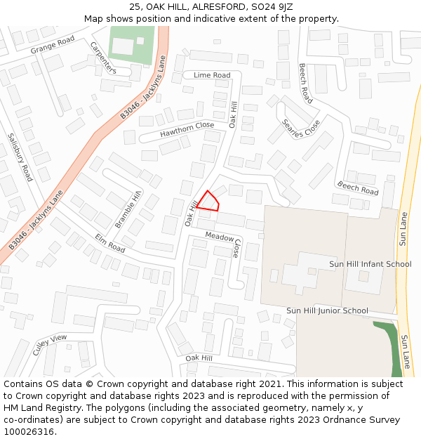 25, OAK HILL, ALRESFORD, SO24 9JZ: Location map and indicative extent of plot