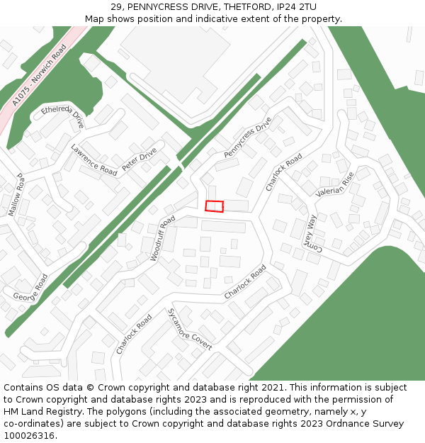 29, PENNYCRESS DRIVE, THETFORD, IP24 2TU: Location map and indicative extent of plot
