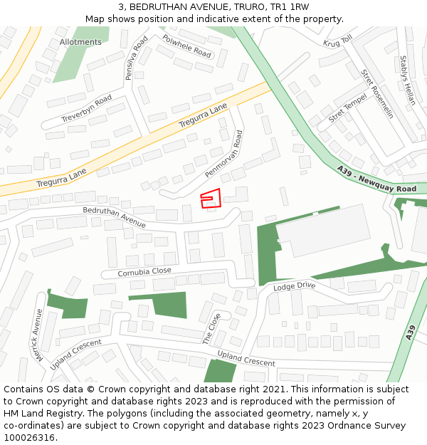 3, BEDRUTHAN AVENUE, TRURO, TR1 1RW: Location map and indicative extent of plot