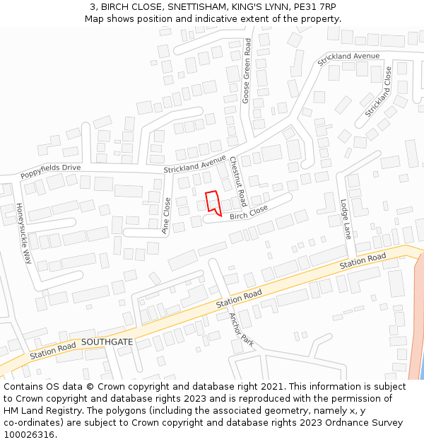 3, BIRCH CLOSE, SNETTISHAM, KING'S LYNN, PE31 7RP: Location map and indicative extent of plot