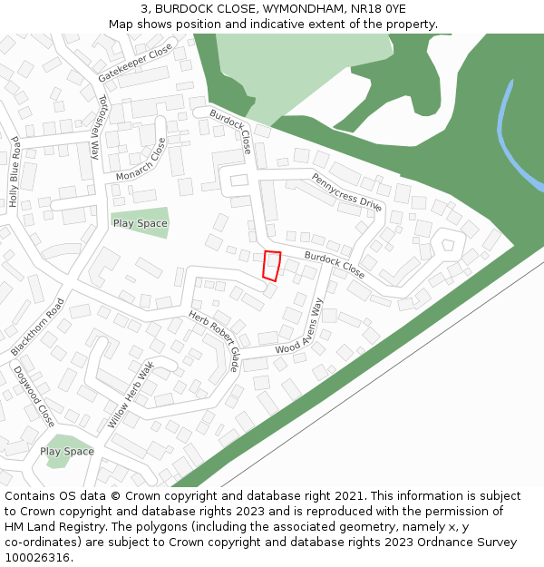 3, BURDOCK CLOSE, WYMONDHAM, NR18 0YE: Location map and indicative extent of plot
