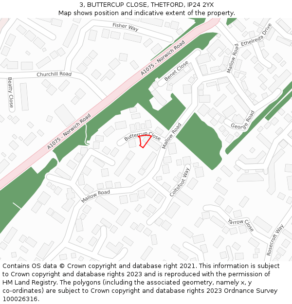 3, BUTTERCUP CLOSE, THETFORD, IP24 2YX: Location map and indicative extent of plot