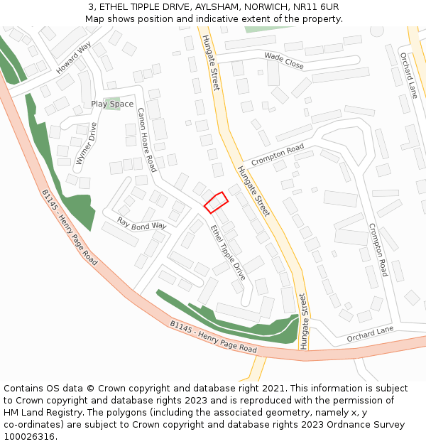 3, ETHEL TIPPLE DRIVE, AYLSHAM, NORWICH, NR11 6UR: Location map and indicative extent of plot