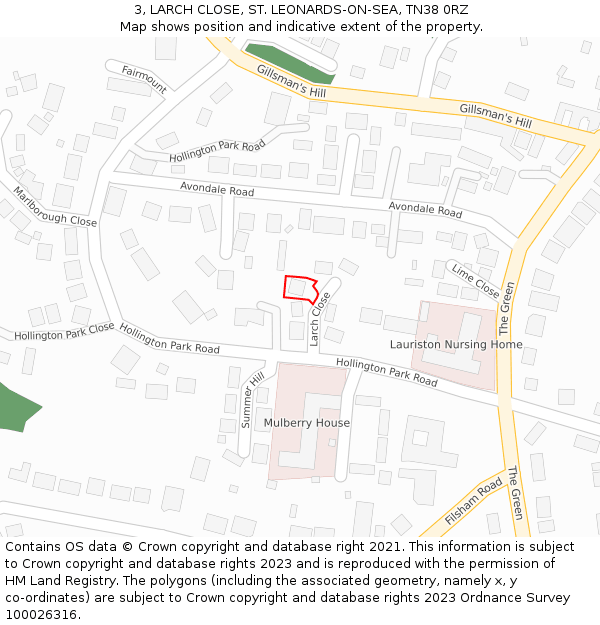 3, LARCH CLOSE, ST. LEONARDS-ON-SEA, TN38 0RZ: Location map and indicative extent of plot