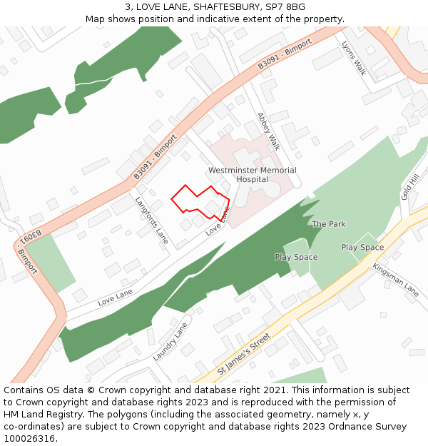 3, LOVE LANE, SHAFTESBURY, SP7 8BG: Location map and indicative extent of plot