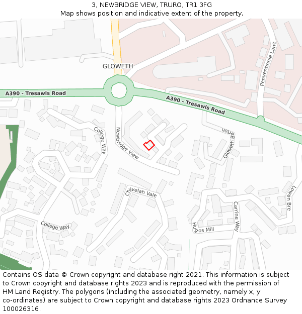 3, NEWBRIDGE VIEW, TRURO, TR1 3FG: Location map and indicative extent of plot