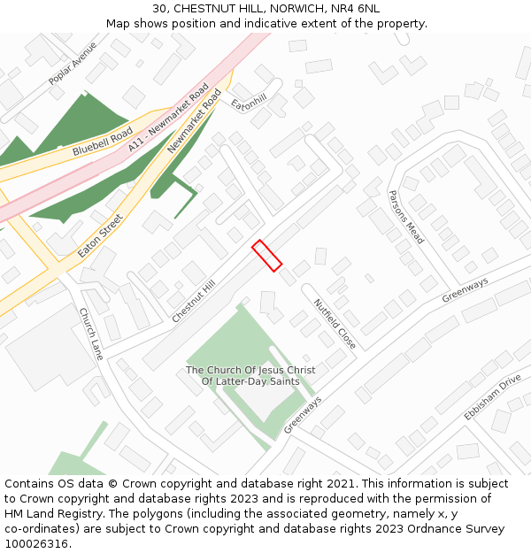30, CHESTNUT HILL, NORWICH, NR4 6NL: Location map and indicative extent of plot