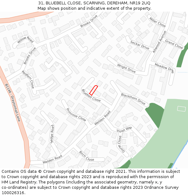 31, BLUEBELL CLOSE, SCARNING, DEREHAM, NR19 2UQ: Location map and indicative extent of plot