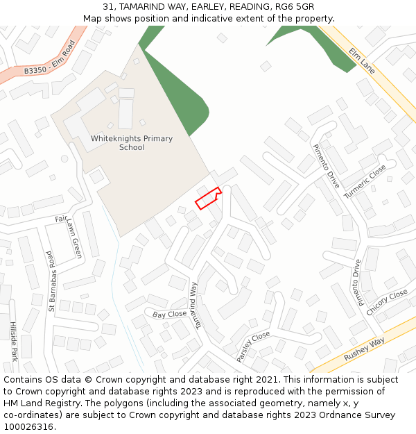 31, TAMARIND WAY, EARLEY, READING, RG6 5GR: Location map and indicative extent of plot