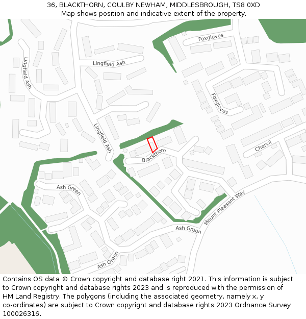 36, BLACKTHORN, COULBY NEWHAM, MIDDLESBROUGH, TS8 0XD: Location map and indicative extent of plot
