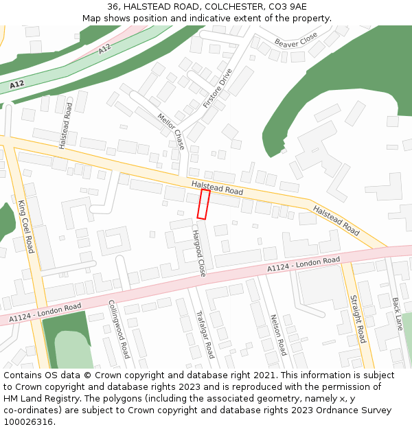 36, HALSTEAD ROAD, COLCHESTER, CO3 9AE: Location map and indicative extent of plot