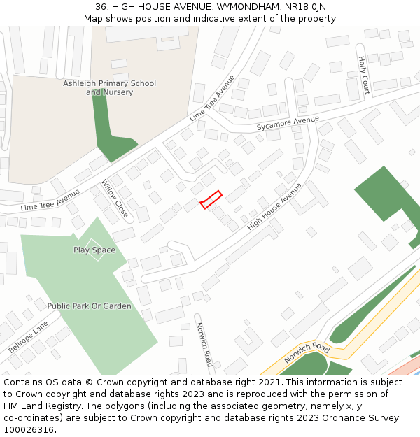 36, HIGH HOUSE AVENUE, WYMONDHAM, NR18 0JN: Location map and indicative extent of plot