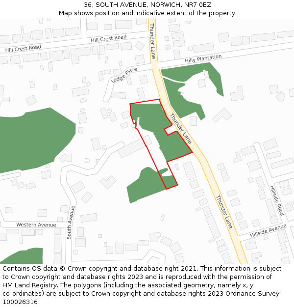 36, SOUTH AVENUE, NORWICH, NR7 0EZ: Location map and indicative extent of plot
