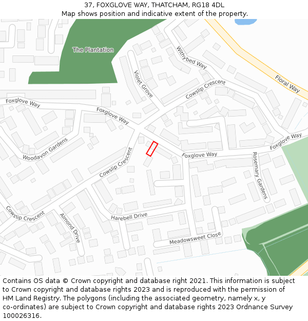 37, FOXGLOVE WAY, THATCHAM, RG18 4DL: Location map and indicative extent of plot